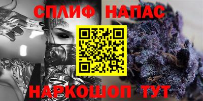 стаф Малгобек